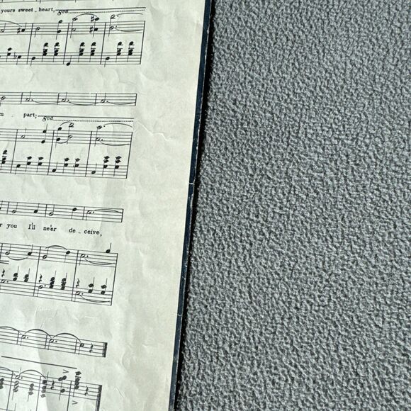 I Live in Lazyland Sheet Music 1905 Jos. Morris Try This on Your Piano Musician - Picture 6 of 6